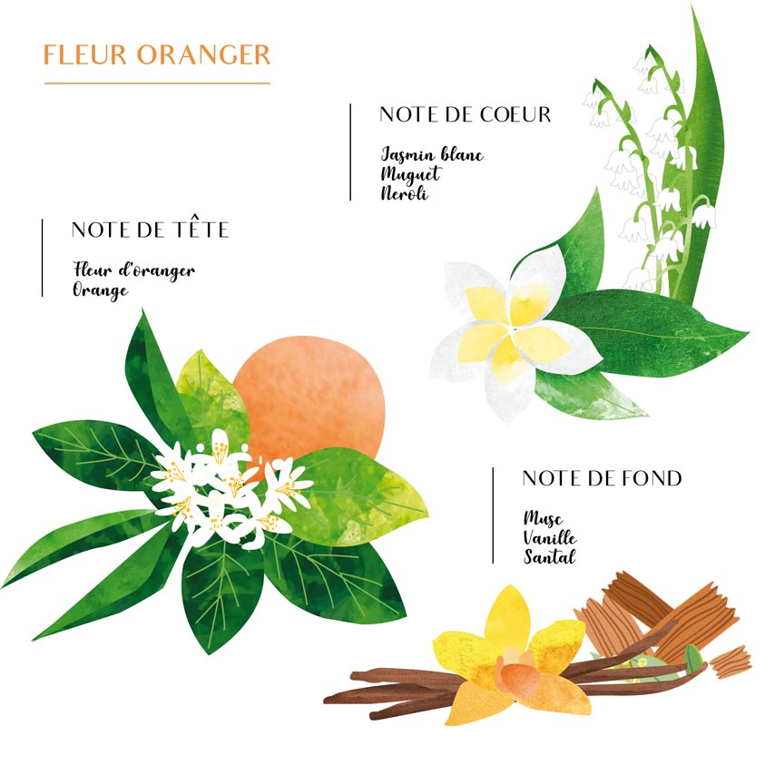diffuseur de parfum fleur d'oranger