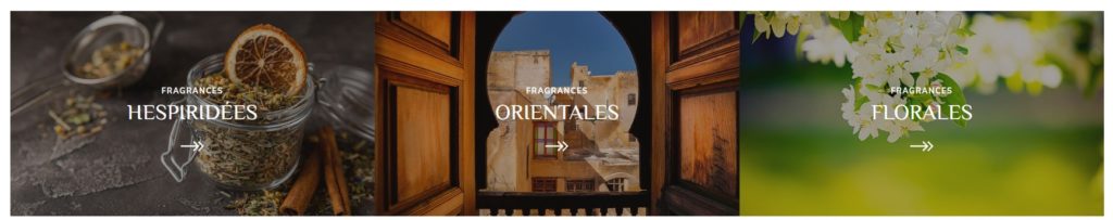 hespéridées et orientales