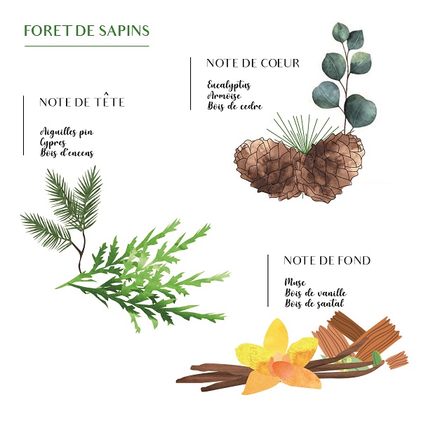 Bougie parfumée Sapin (Balade en forêt)