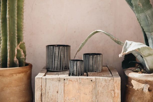 La Zébré qui vous fait rêver et surtout voyager dans les ruelles de Marrakech avec sa douce odeur de Mandarine Majorelle 🍊📷@azamira#marrakech #marrakeshcandle #Bougie #bougiemarrakech #bougieparfumée #bougiefaitmain #candleaddict #candlelover #candlemarrakesh #faitaumaroc #faitmain #decorate #déco #inspiration #inspirationdeco #decodesign #decorationinterieure #decorideas #madeinmarrakesh #madeinmorocco