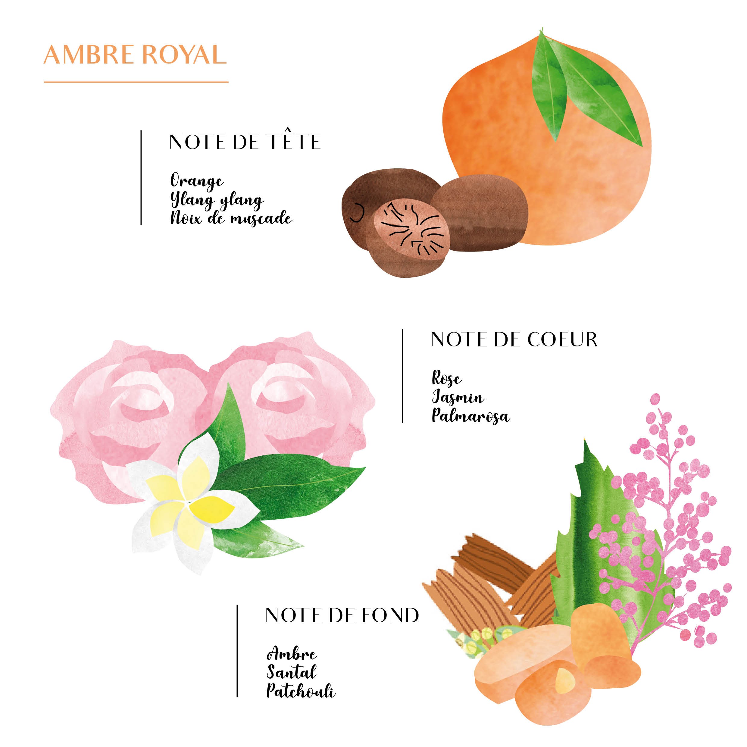 Diffuseur De Parfum Coffret senteur Jasmin Royal