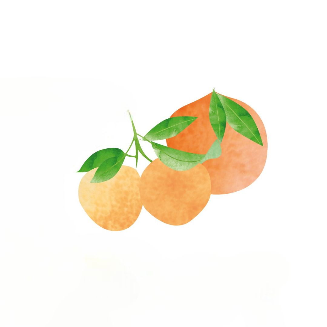 CITRUS FRUIT