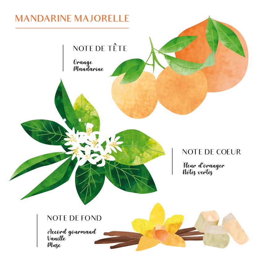 Pyramide olfactive Mandarine Majorelle