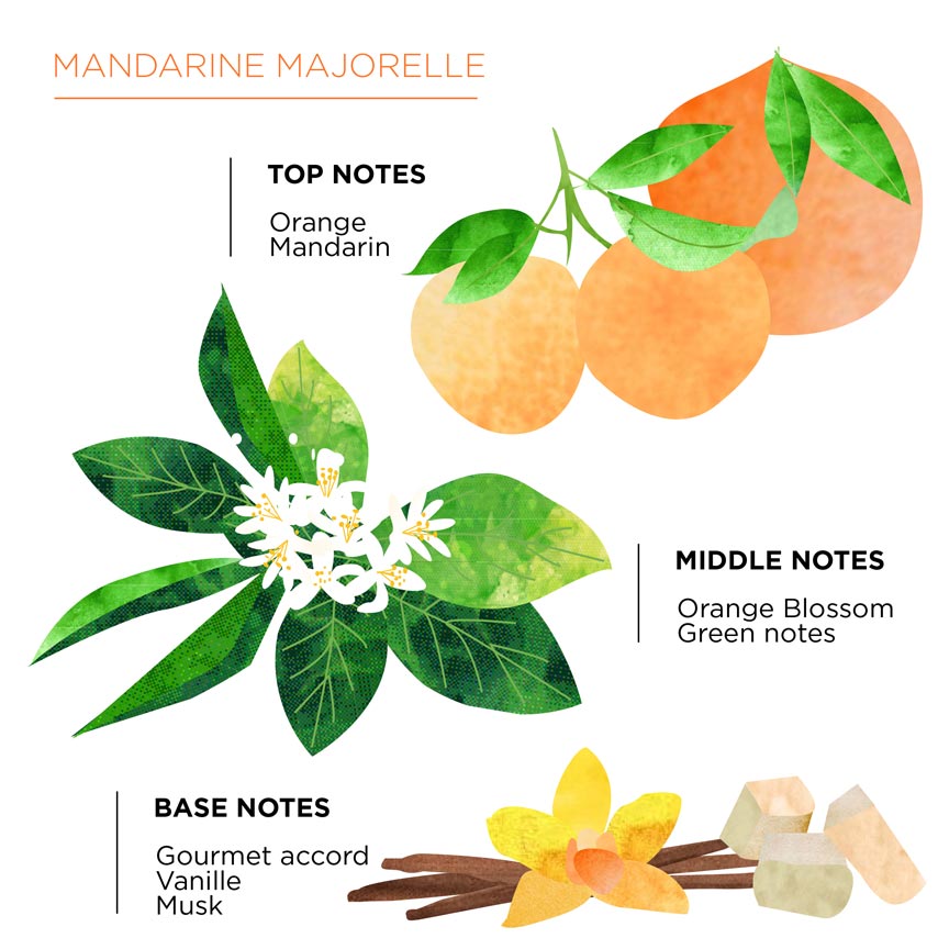 Olfactory pyramid Mandarine Majorelle