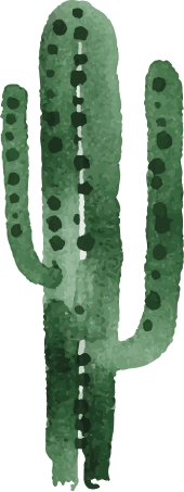 Image d'un cactus